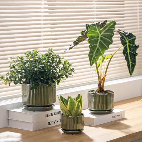 SURE YUESI Ceramic Plant Flower Pots for Indoor Plant, 4.33"+5.5"+6.88", Set of 3, Orchid Pot with Drainage Hole, Saucer and Hole Mesh Pad for Succulents, Herbs and African Violet (Light Green) - color: Light Green