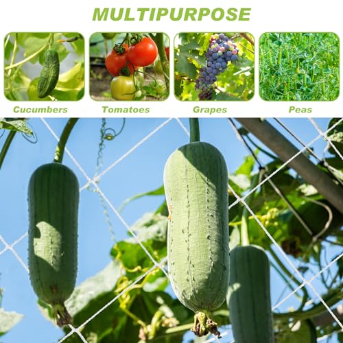 Berlune 6.5 x 700 ft Trellis Netting Roll Heavy Duty Nylon Garden Trellis Netting with 6 Inch Mesh Soft Plant Support Net for Climbing Plants, Grape Racks, Growing Support Bean, Pea, Tomatoes - size: 6.5 x 700 ft