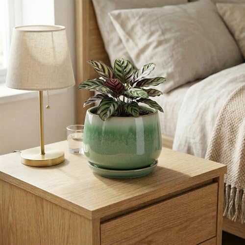 6 Inch Planter, Ceramic Plant Pots for Indoor Plants, Green - size: 6 Inch, style: Green