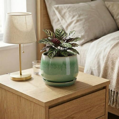 6 Inch Planter, Ceramic Plant Pots for Indoor Plants, Green - size: 6 Inch, style: Green