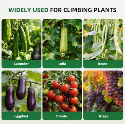 Garden Arch Trellis for Raised Beds, 5.3x5.3FT Plant Support for Cucumbers, Melons, Grapes, Roses & Climbing Vegetables, Outdoor Rust-Resistant Trellis for Vertical Growing, Black - size: 5.3x5.3x2 Ft