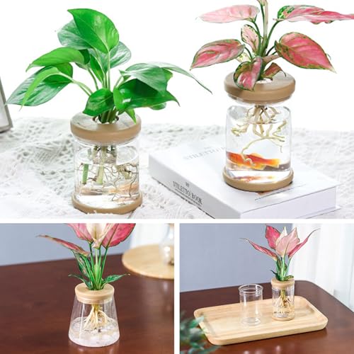 1pc, Hydroponics Plants Desktop Glass Planter Vase for Home Decoration, Plant Propagation Station Bud Vase, Desktop Hydroponics