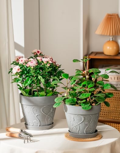 Melphoe Plant Pots Indoor with Drainage & Saucer, 2Pack 7/8 inch Flower Pots Outdoor Planters for Indoor Plants Garden Home Decor Cactus Succulent, Rigid Plastic (Imitation-Terracotta) Vine-Embossed - color: Cement Grey Color, size: 7/8 inch