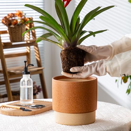 8 Inch Ceramic Self Watering Planter with Drainage Hole Terracotta - color: Terracotta, size: Medium