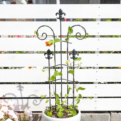 31" Pot Trellis for Climbing Plants - Support for Vining Plants - size: 31"H