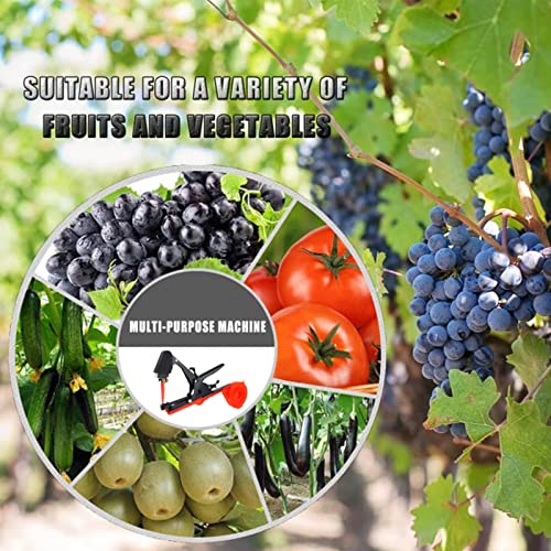 Plant Tying Machine,Plant Vine Tying Machine Tool with 10000pcs Staples 20 Rolls Tape Plant Tape Gun for Grapes,Raspberries,Tomatoes,and Vining Vegetables Tying Tool （Black） - color: Black