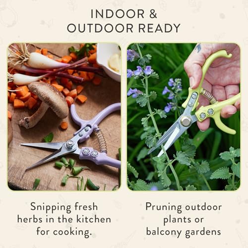 Modern Sprout Pruning Shears- Garden Snips-Herb Scissors- Chartreuse 1-Pack - color: Chartreuse