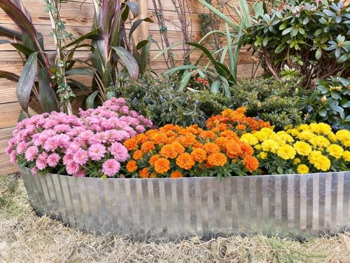 Anleolife Galvanized Steel Landscape Edging Roll, 20FT x 4" Silver - color: Silver, size: 4 inch× 20 ft