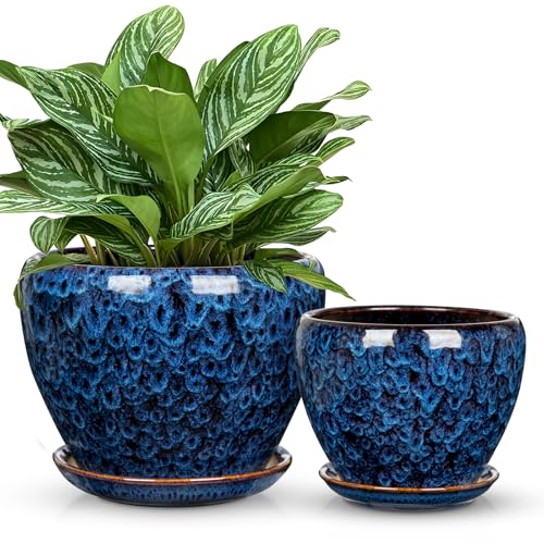Hollyone 9+7 Inch Ceramic Planter Set of 2 Blue Ceramic Plant Pot for Plants Flowers with Drainage Hole and Saucers Ceramic Glaze Round Plant Pot Indoor Outdoor Large Succulent Orchid Flower Pot - size: 7 and 9 Inch (Set of 2)