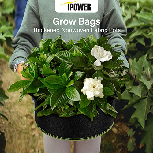 iPower 5-Gallon 10-Pack Grow Bag Thickened Nonwoven Fabric Pots Heavy Duty Aeration Container with Strap Handles for Garden and Planting Vegetable Flowers, Black with Green Stitch Sewing - color: Green, size: 5 Gallon