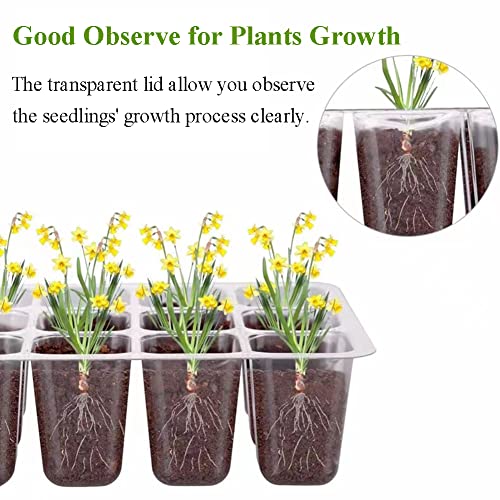Seed Starter Tray Seedling Kits with Grow Light, 3-Pack Plant Germination Set with Adjustable Humidity Dome and Base Greenhouse Grow Trays for Seeds Growing Starting (12 Cells per Tray)