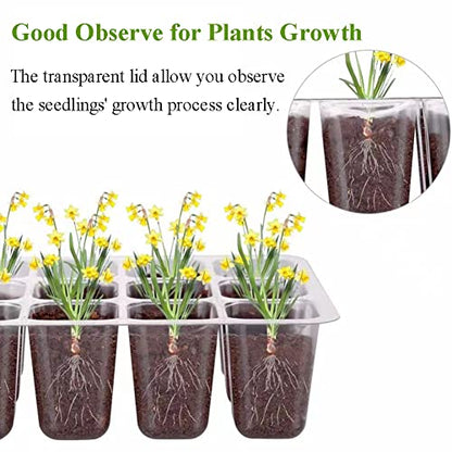 Seed Starter Tray Seedling Kits with Grow Light, 3-Pack Plant Germination Set with Adjustable Humidity Dome and Base Greenhouse Grow Trays for Seeds Growing Starting (12 Cells per Tray)