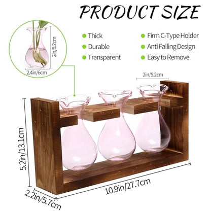 Plant Propagation Station Plant Terrarium Unique Birthday Gifts for Women - color: Pink