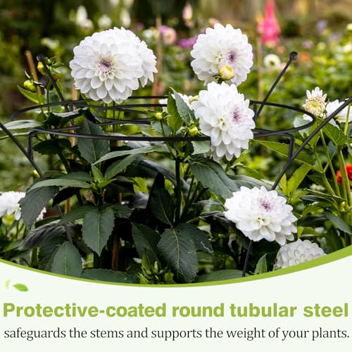 1 Pack Large Peony Cages and Supports, 38" H x 19" D Tall Heavy Duty 5mm Black Metal Garden Stakes for Outdoor & Indoor Plants, Sturdy Rust-Resistant Frame for Peonies Roses Flowers - size: 1 Pack