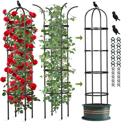 Obelisk Trellis for Climbing Plants Outdoor, 6.2 FT Plant Support for Tomato, Rose, Flowers, Grape, Pea, Cucumber, Rustproof Plastic Coated Metal Plant Tower for Potted Plants - 1PC Garden Trellis - color: Black (Round)