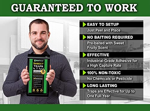 MaxGuard Extra Large Insect Traps (8 Traps) | Non-Toxic Extra Sticky Pre-Baited Glue Board, Trap & Kill Most Crawling Insects, Bugs, Spiders, Crickets, Scorpions, Cockroaches, Centipedes, Snakes.