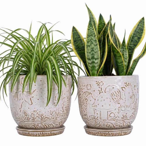 Claybourne Embossed Terracotta Plant Pots with Drainage Hole & Saucer, 4/6/8 Inch, Indoor/Outdoor Planter with Pebbles (White（Forest Elf）, 6 inch) - color: White（forest Elf）, size: 6 inch