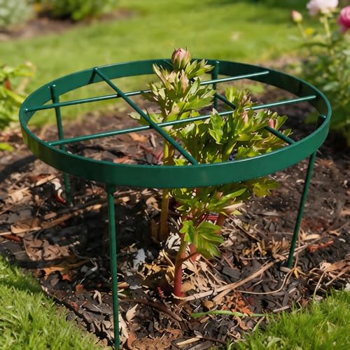 23.6" Plant Supports for Peonies - Metal Brace for Tall Plants - color: Green, size: 23.6"x18.9"