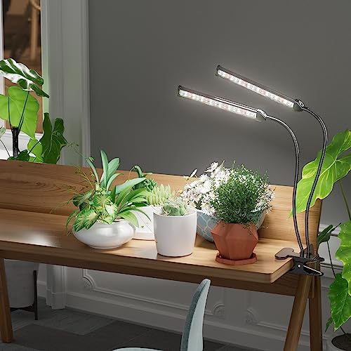 GooingTop Grow Light,24W (160Watts Equiv) 5000K White Full Spectrum LED Growing Lamp Clip on Desk for Indoor Plants,Bulbs Replaceable & Non-dimmable (Black, 80Watts) - size: 80Watts