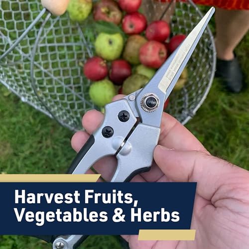 Pruning Shears - Garden Scissors Florist Snips - 2.5” Blades - Flower Scissors for Cutting Fresh Flowers, Trimming, or Harvesting Herbs or Fruit - Pruners for Gardening Tools by Kings County Tools - style: Flower Pruner