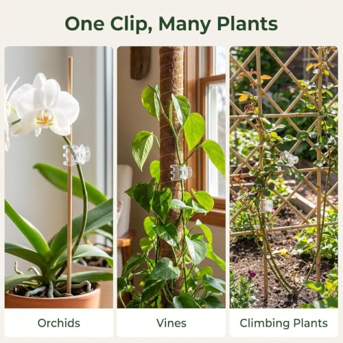 50Pcs Plant Orchid Clips Flowers Support Clear Fixer for Garden Vine Stem Plants Climbing Clasp Transparent 6 Claws Orchid Clips Plastic Butterfly Plant Support Structures