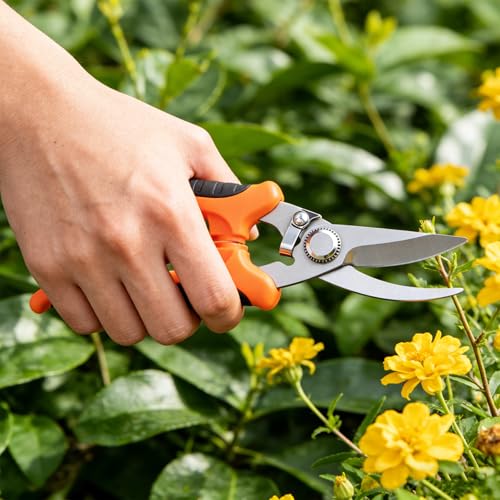 4PCS Garden Pruning Shears Set, 2 Bent Pruning Shears + 1 Straight Multi-Functional Scissors + 1 Pointed Precision Shears, Gardening Tools for Branches, Vines & Shrubs - color: Color3