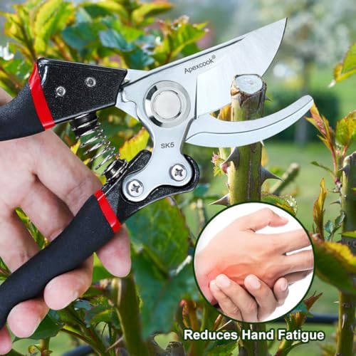 Gardening shears for pruning garden shrubs and harvesting flowers fruit - style: Classic Garden Shears