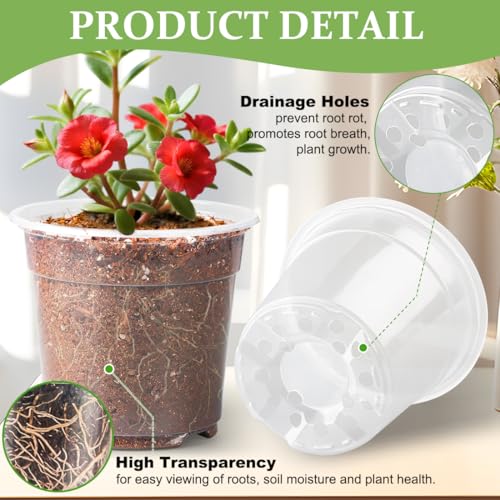 RooTrimmer 60 Pack 6 Inch Clear Nursery Pots for Plants, Flexible Plastic Plant Pots with Drainage Holes, Transparent Plant Starter Pots for Seedlings, Vegetable, Succulents, Flowers - size: 6Inch 60P