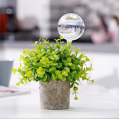 Tomorotec 4Pcs Rainbow Glass Plant Watering Globes, Self Watering Spikes - color: Iridescent 4-Pack
