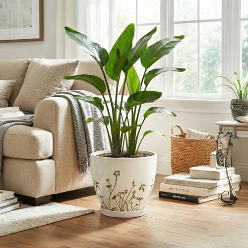 MPotTo Ceramic Pot for Plants 10 Inch, Grasses White - color: Grasses White, size: 10 Inch