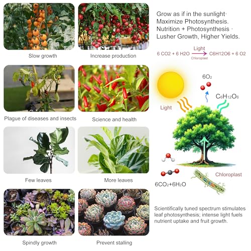 2 Pack LED Grow Light Panel 200W Lamp for Indoor Plants, Sun Like with White Blue Red UV IR LEDs for 4x4ft Coverage Grow Tent Greenhouse Veg and Bloom Seedlings Hydroponics - color: Sunlight