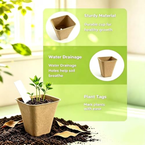 36 Pcs Square Peat Pots Nursery Kit with Labels & Garden Tools