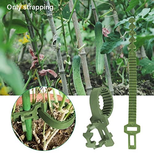 GEZICHTA 10 PCS Tree Stake Support Bands, Heavy Duty Adjustable Interlock Tree Plant Ties, Reusable Garden Plants Shrub Ties 9.4 inch(Green), free size