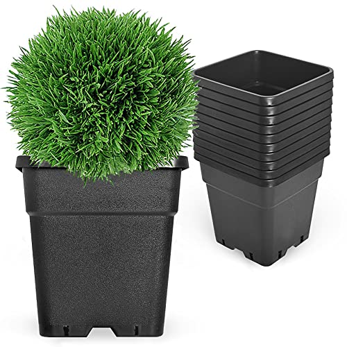 RainMan S 10-Pack 5 Gallon Square Planter Nursery Pots, Flower Plant Container Injection Molded Plastic Nursery Pots Gardening Pots for Indoor Outdoor Vegetables, Succulents, Black
