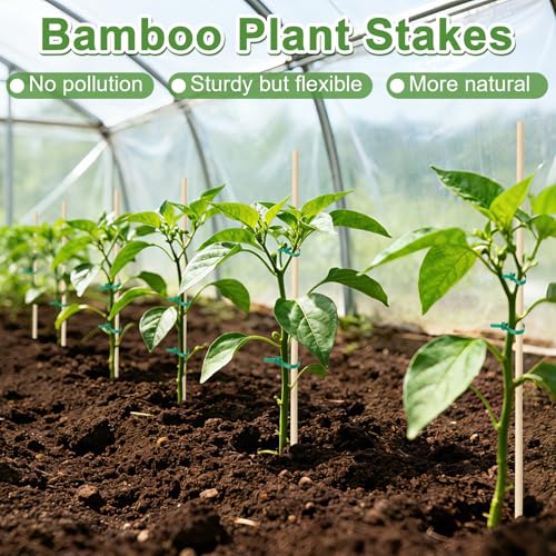 AUGSHY Plant Stakes 18 Inch, 40 PCS Natural Bamboo Garden Stakes