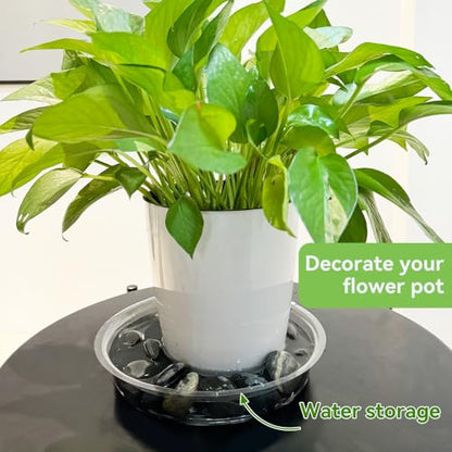 100 Pcs 6 Inch Clear Plant Saucers Bulk, Plastic Plant Saucer - size: 6inch（100 Pack）
