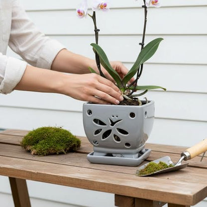 Orchid Pots with Holes Square Ceramic Orchid Planter Pots 5.5 inch (gray) - color: Gray