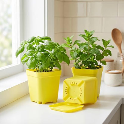 HOIGON 100 Pack 3 Inch Yellow Square Nursery Pot, Durable Thickened Plastic Nursery Pots with Drainage Holes and Saucers, Small Square Planting Containers for Flower Tomatoes Basil - color: Yellow