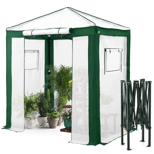 EAGLE PEAK 6x4 Walk in Pop Up Greenhouse, Green/White - color: Green/White, size: 6x4