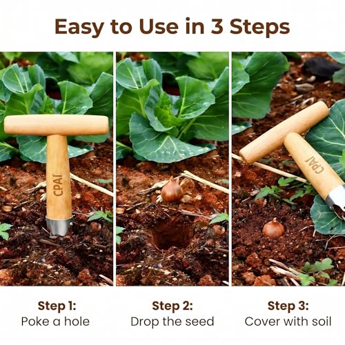 Seed Dibber Hand Dibber Bulb Planter Tool, Stainless Steel Garden Dibber with Wooden Handle for Planting Seeds, Bulbs, Tulips, Daffodils and Flowers (11.0x4.5in) - size: 11.0x4.5in