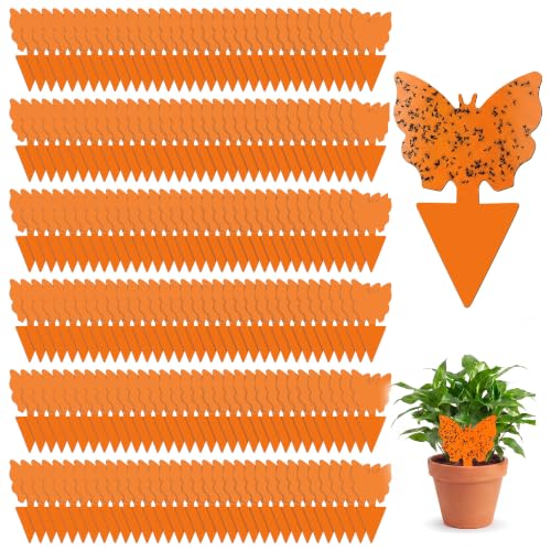 100 Pack Gnat Traps, Double Sided Plant Sticky Traps for Indoor Bug, Orange - color: Orange