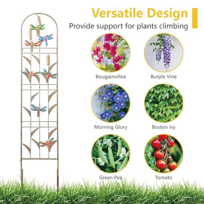 aboxoo 2-Pack Dragonfly Metal Garden Trellis for Climbing Plants - color: Dragonfly, size: 2pcs