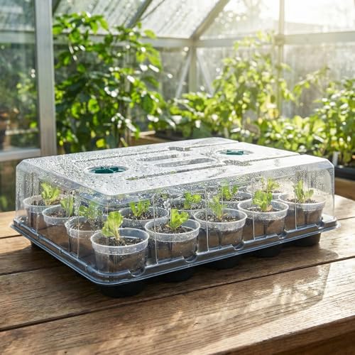 homenote 2 Pack Seed Starter Trays with Grow Lights and 40 3 Inch Pots - size: 3 Inch, style: 2 Pack Tray+Pots+Dome+Grow Light
