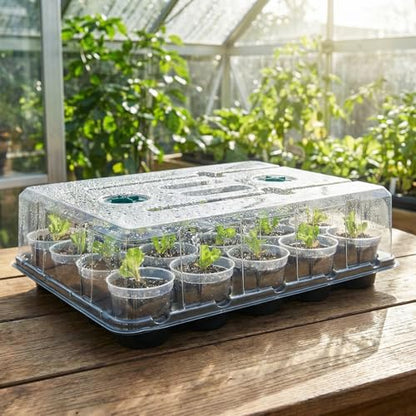 homenote 2 Pack Seed Starter Trays with Grow Lights and 40 3 Inch Pots - size: 3 Inch, style: 2 Pack Tray+Pots+Dome+Grow Light