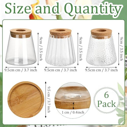 6 Pcs Glass Plant Propagation Station with Wood Lid & Stand, Cute Style - style: Cute Style