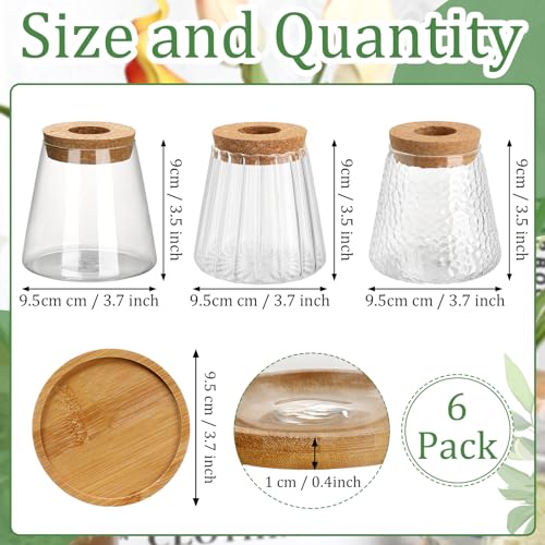 6 Pcs Glass Plant Propagation Station with Wood Lid & Stand, Cute Style - style: Cute Style