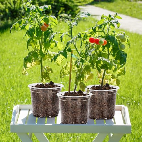 JNYONG 30 Pack 3.5/4/5/6/7 Inch Clear Nursery Pots with Drainage Hole - size: 3.5/4/5/6/7 Inch 30 pack