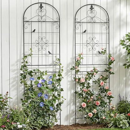 70.8" Black Metal Garden Trellis for Climbing Plants, 2 Pack - color: Black