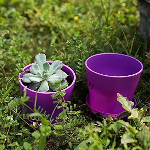 TDHDIKE 10 Pcs Plastic Planters Indoor Flower Plant Pots (Purple) - color: Purple