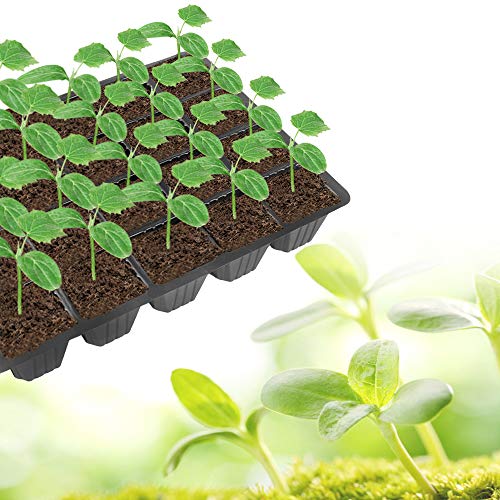 240 Cells -24 Grow Trays with Humidity Dome and Cell Insert - Mini Propagator for Seed Starting and Growing Healthy Plants Durable Reusable and Recyclable 10 Pack